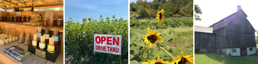 sunflowers, honey, pollard farm