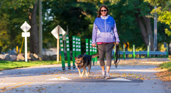 Person walking their dog